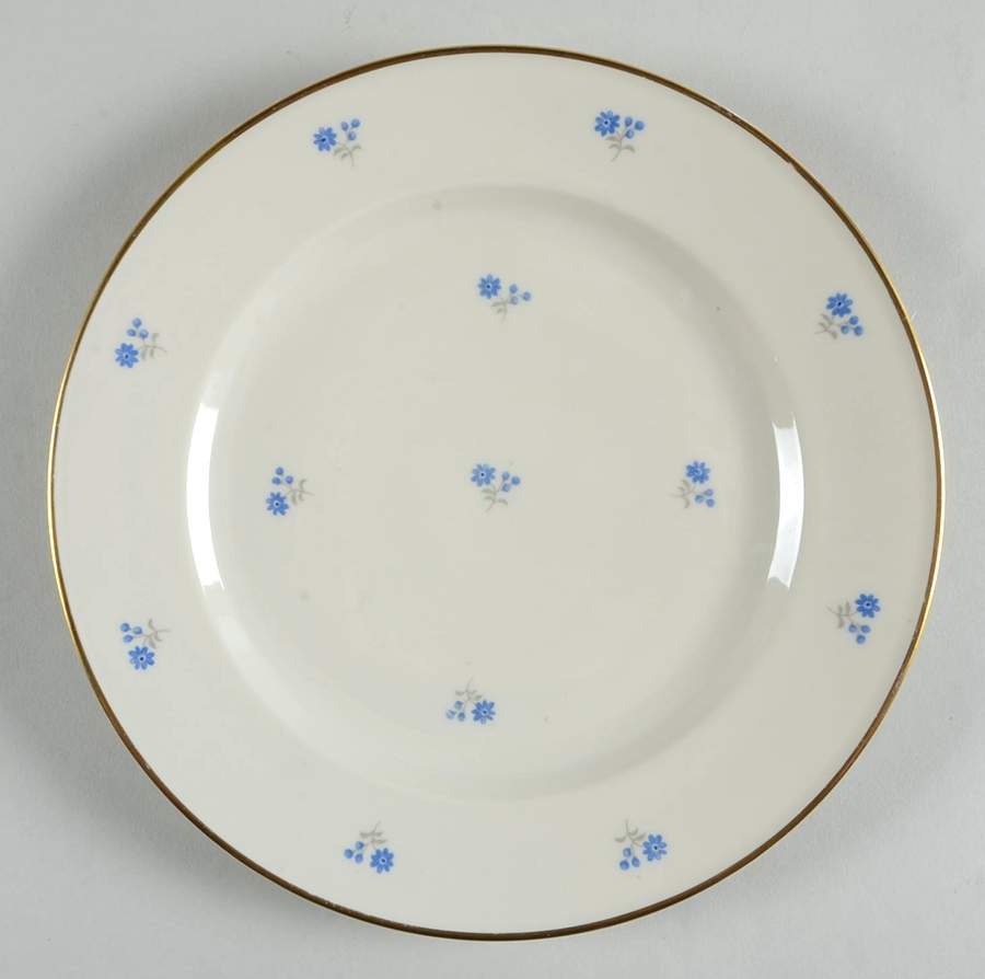 HUT2360 Dinner Plate by Hutschenreuther-1