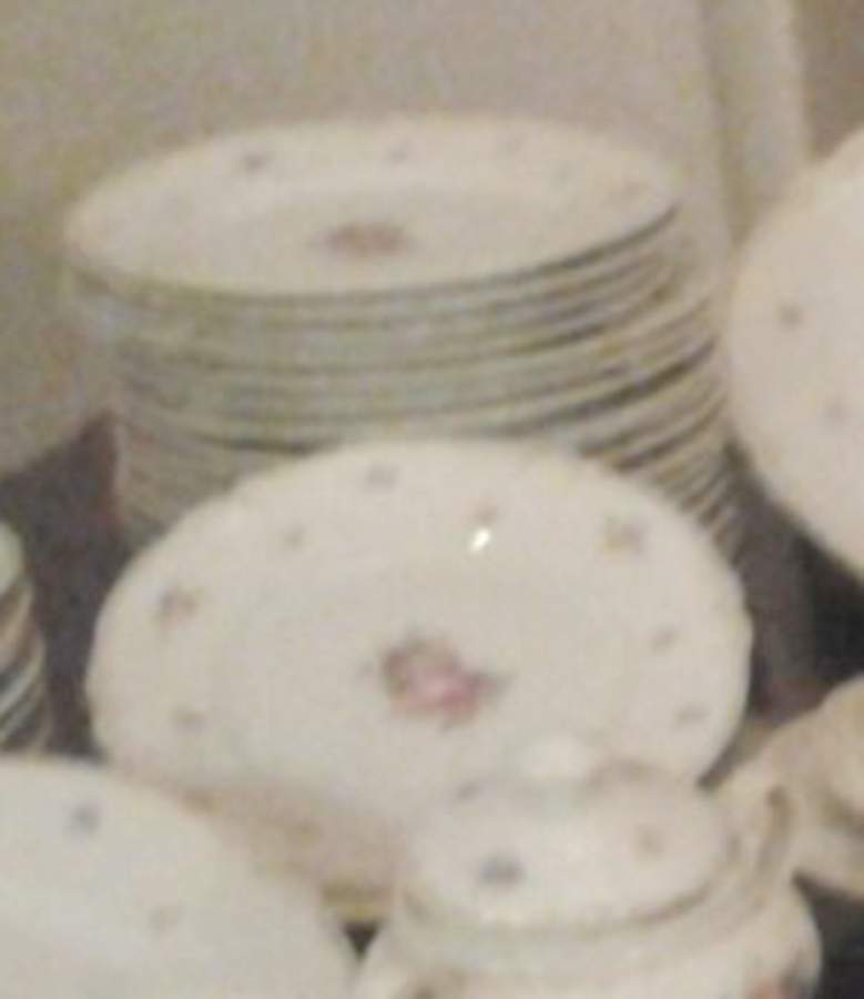 HUT3015 Salad Plate by Hutschenreuther-1
