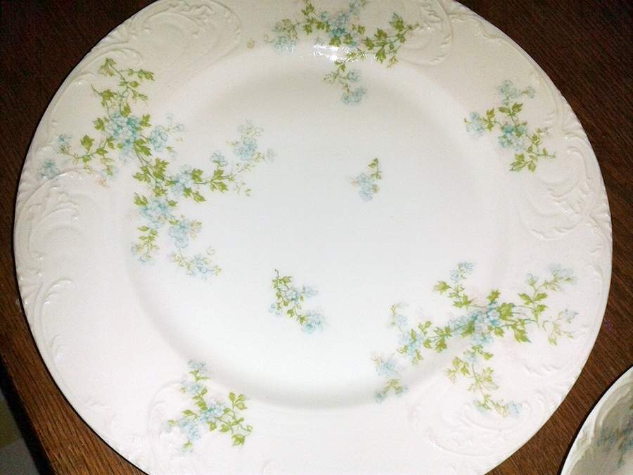 Schleiger 29-3 Dinner Plate by Haviland-1