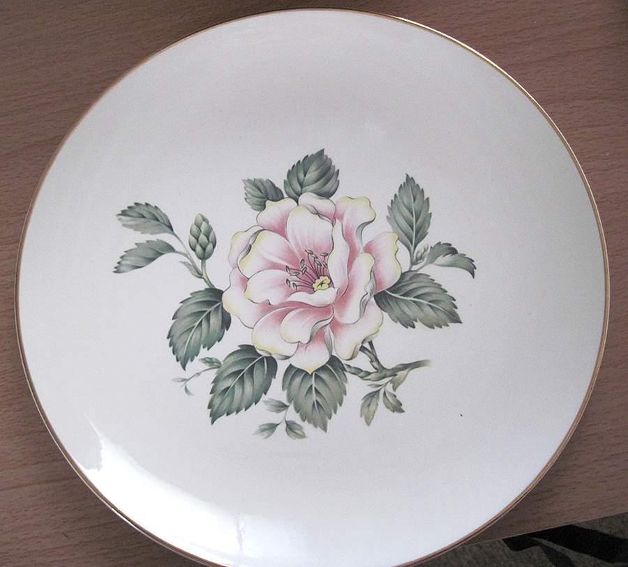 HLC4085 Dinner Plate by Homer Laughlin -1
