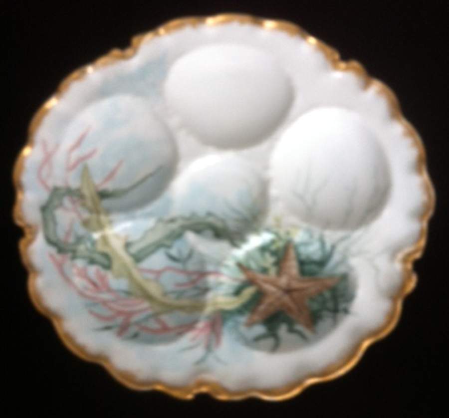 H4908 Oyster Plate by Haviland-1