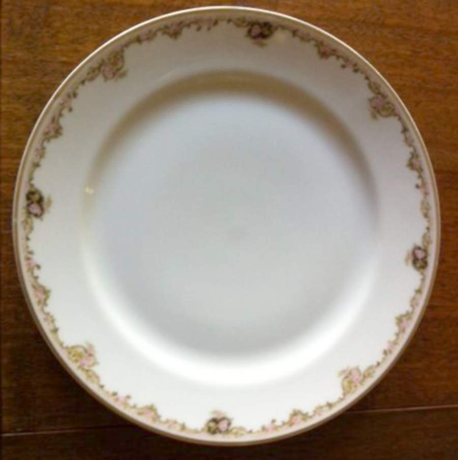 H4909 Dinner Plate by Haviland-1