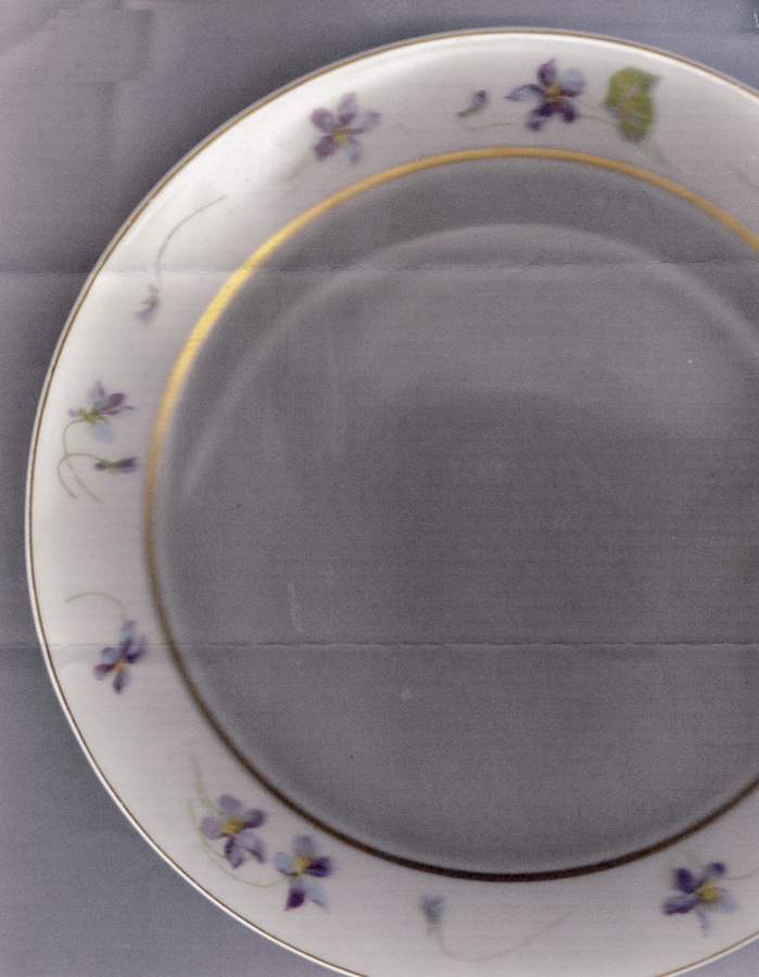 H4606 Dinner Plate by Haviland-1