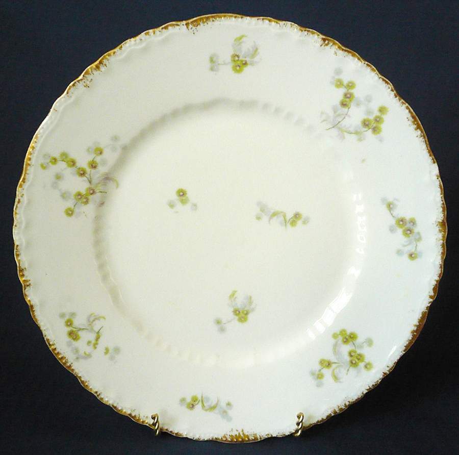 Schleiger 1030-4 Salad Plate by Haviland-1