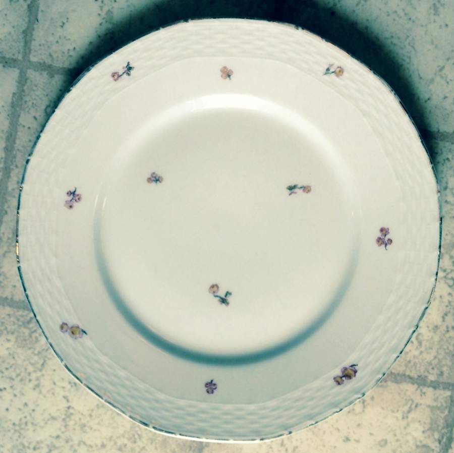 16354 Dinner Plate by Hutschenreuther-1