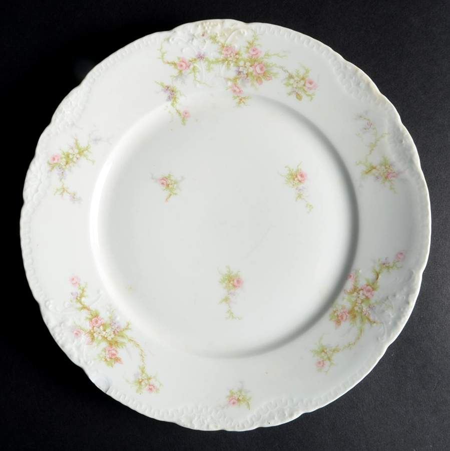 H4607 Dinner Plate by Haviland-1