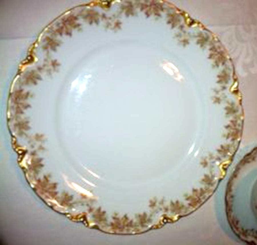 H4915 Dinner Plate by Haviland-1