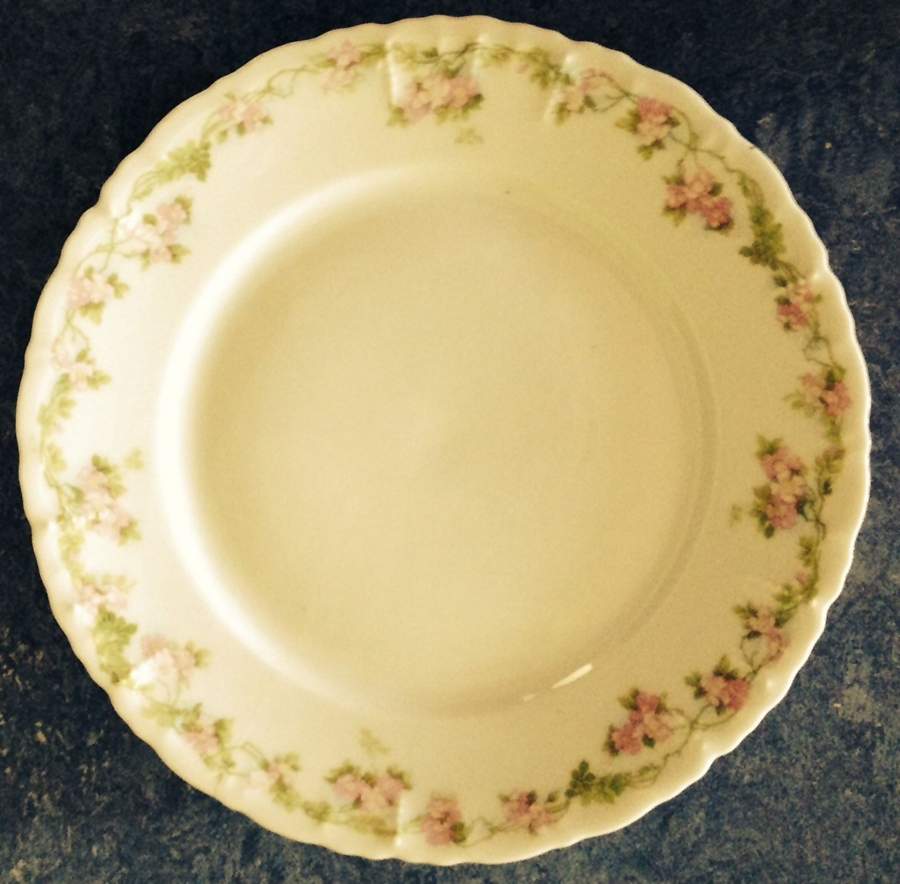 HGO14 Dinner Plate by Hamburger-1