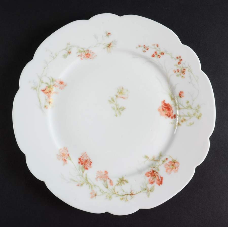 H4320 Dinner Plate by Haviland-1