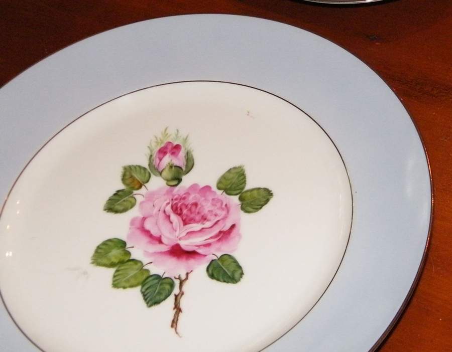 HC1402 Dinner Plate by Heinrich - H&C-1