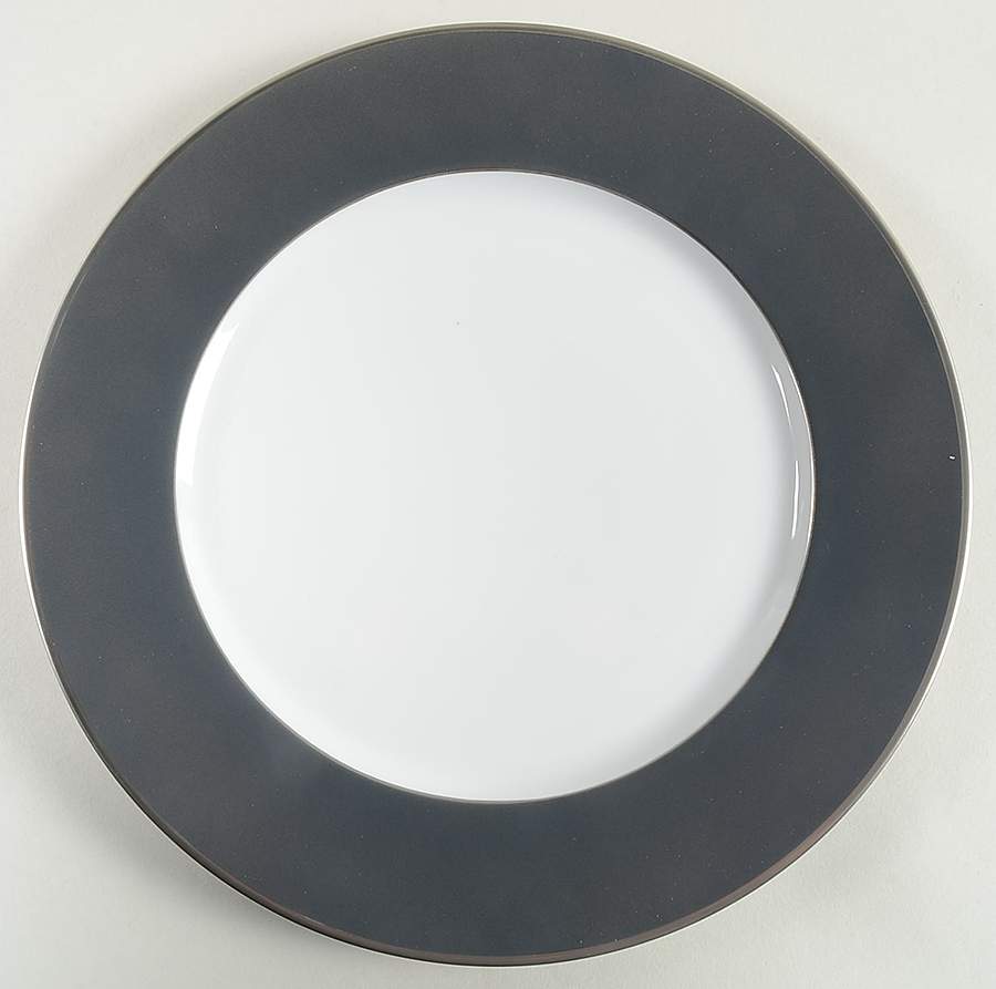 Color Block Platinum Grey Dinner Plate by Haviland-1
