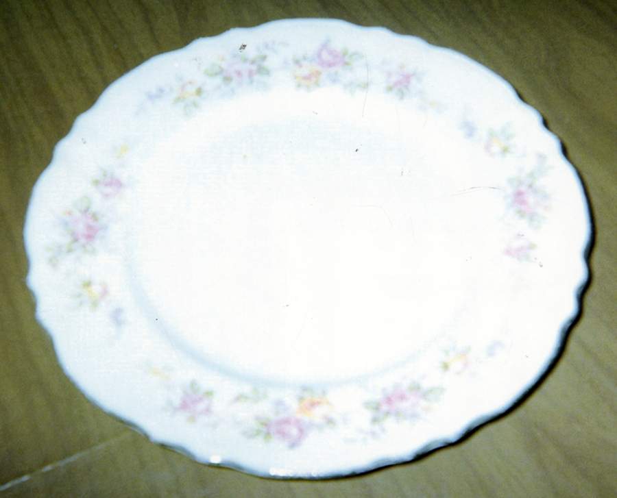HLC4097 Dinner Plate by Homer Laughlin -1