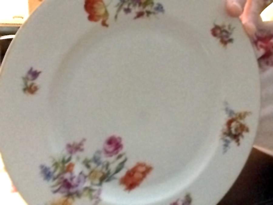 HC181 Dinner Plate by Heinrich - H&C-1