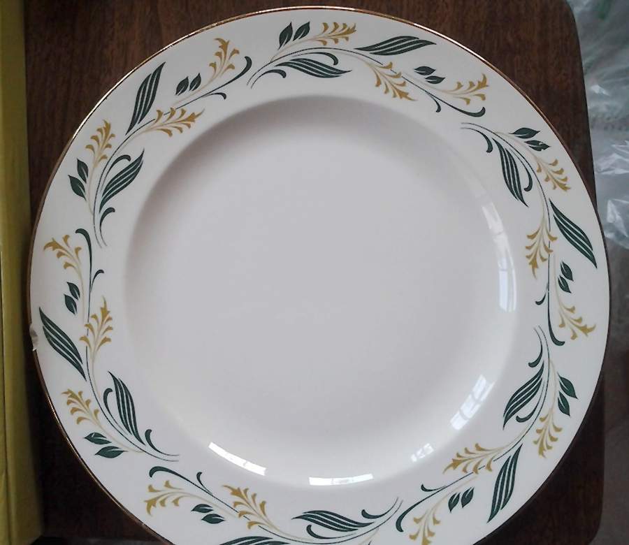 HLC4099 Dinner Plate by Homer Laughlin -1