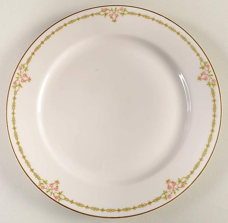 H4322 Dinner Plate by Haviland-1