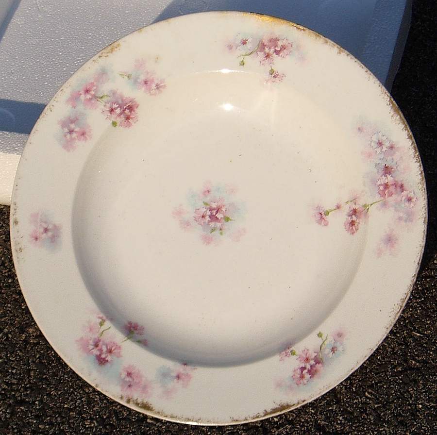 H4324 Dinner Plate by Haviland-1