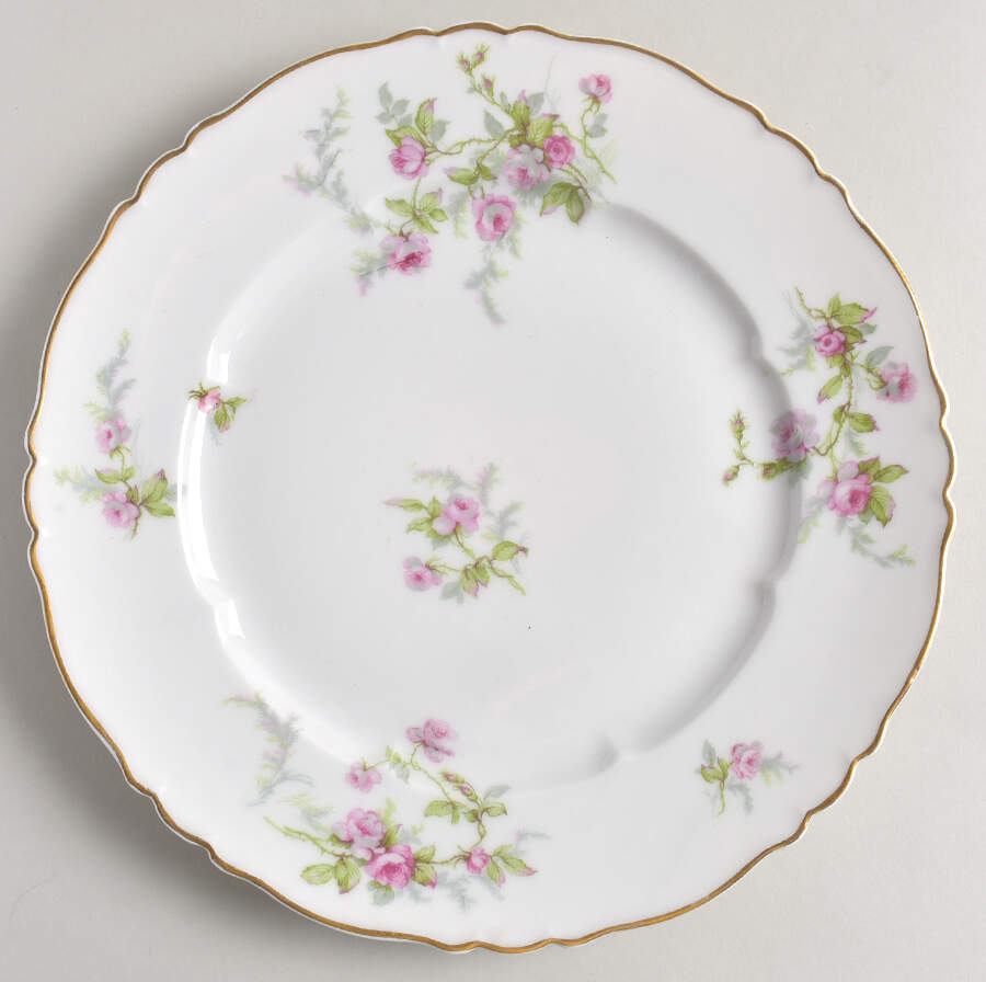 Sylvia (White, Isle de France, Gold Trim) Dinner Plate by Haviland-1