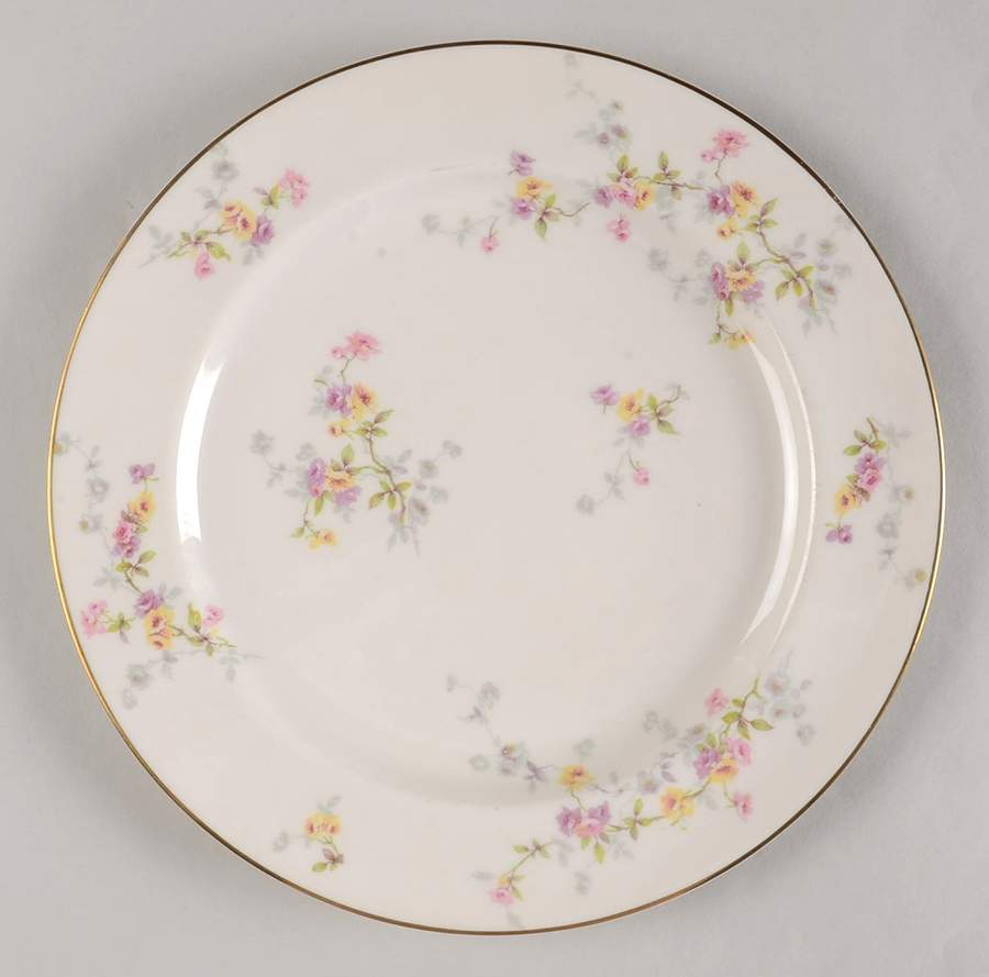 H4716 Dinner Plate by Haviland-1