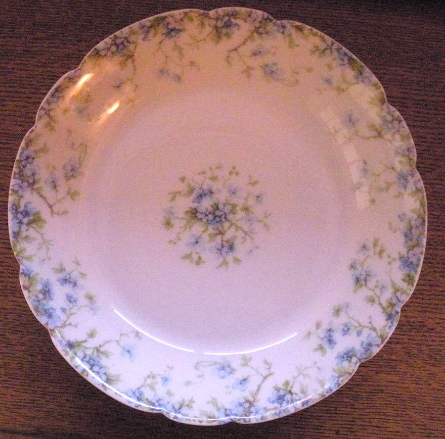 H4719 Salad Plate by Haviland-1