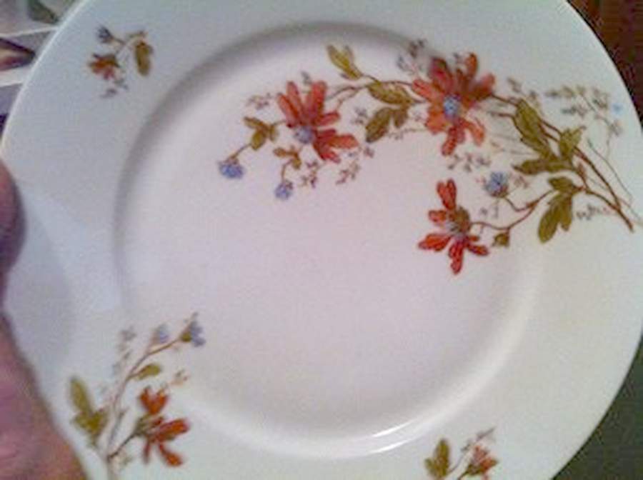 H4931 Dinner Plate by Haviland-1
