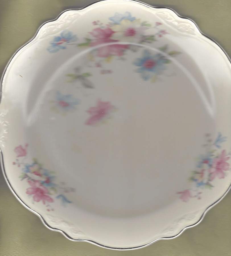 HLC4111 Dinner Plate by Homer Laughlin -1