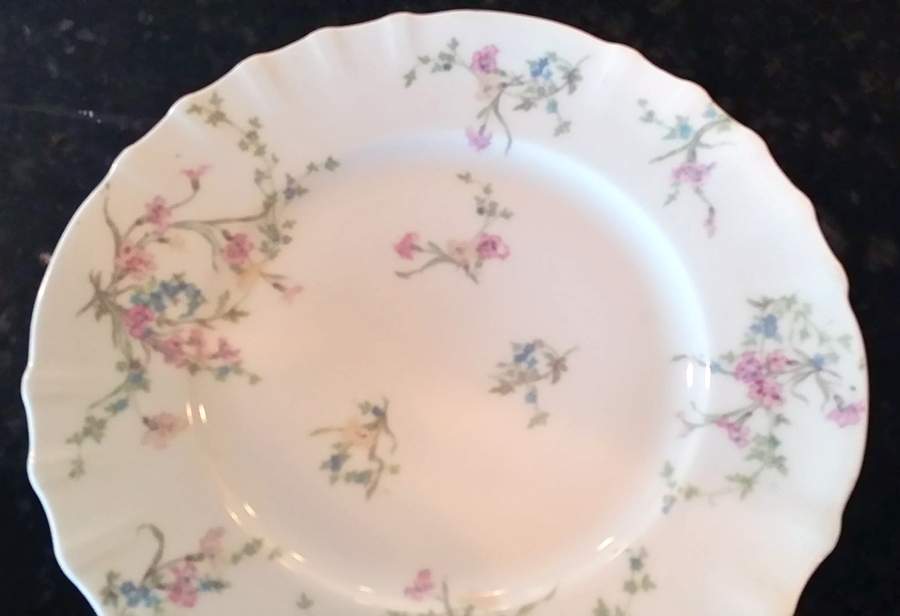 Schleiger 1018-7 Dinner Plate by Haviland-1