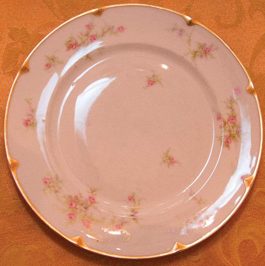 H4936 Dinner Plate by Haviland-1