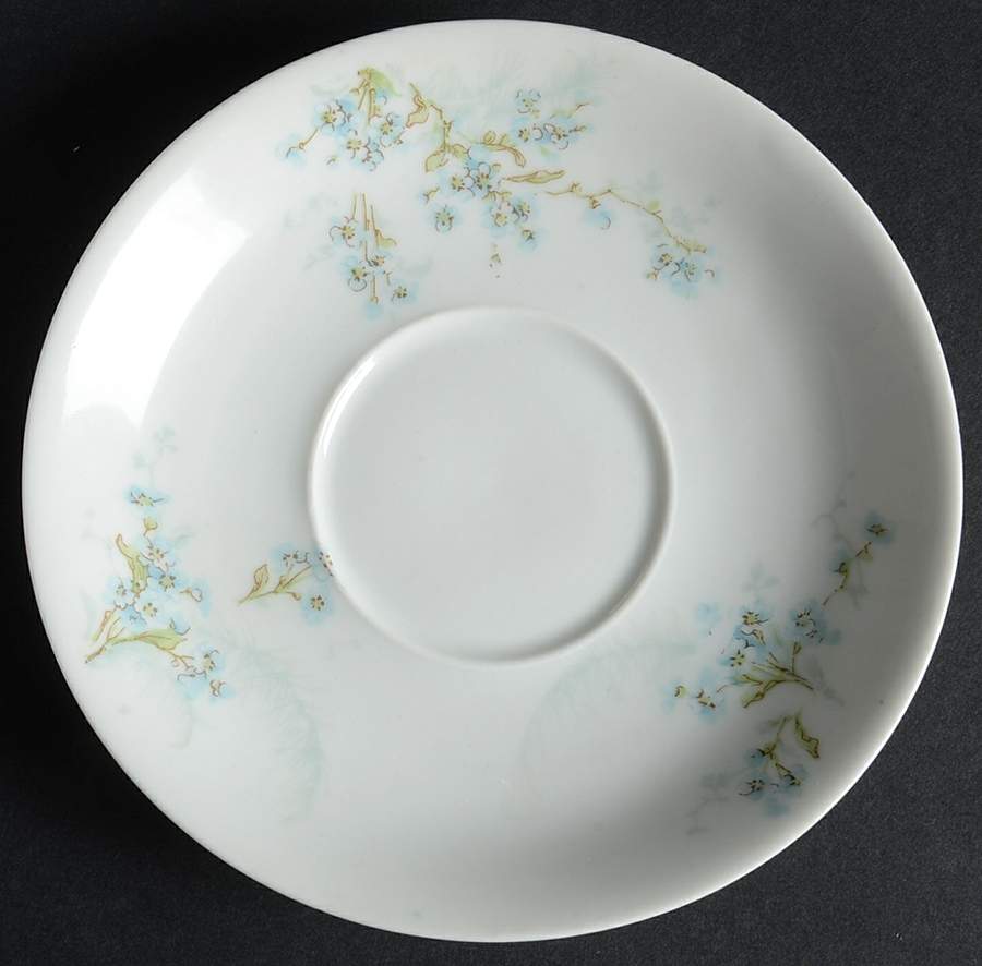 H4610 Saucer by Haviland-1