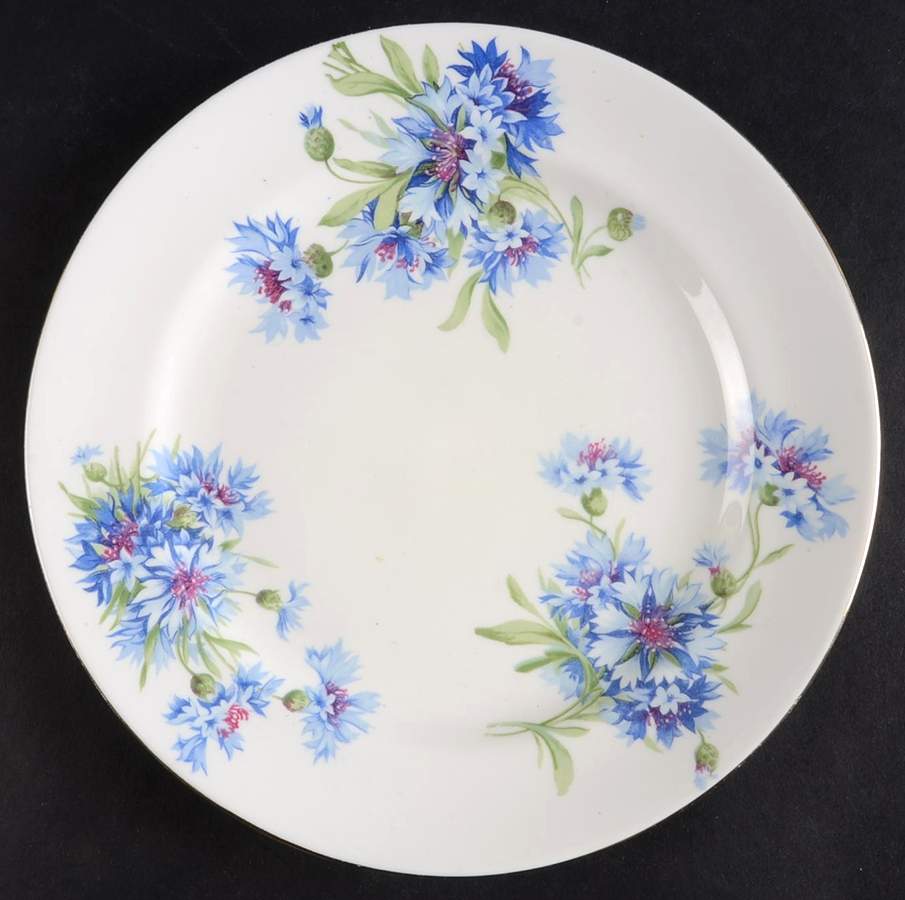HAM136 Dinner Plate by Hammersley-1