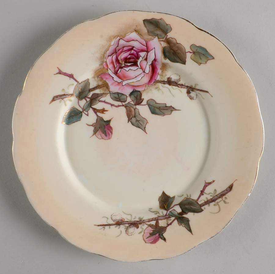 HCZ213 Salad Plate by Haas-Czjzek Coronado-1