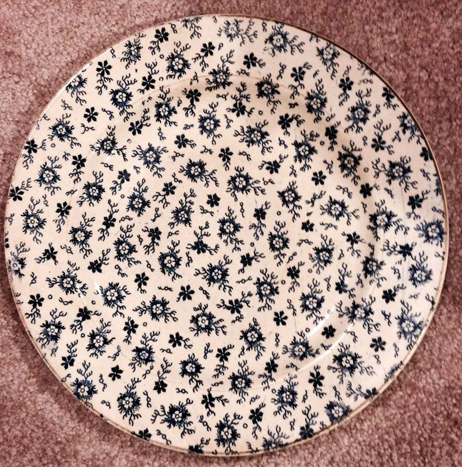 Pompadore Dinner Plate by Hollinshead & Kirkham-1