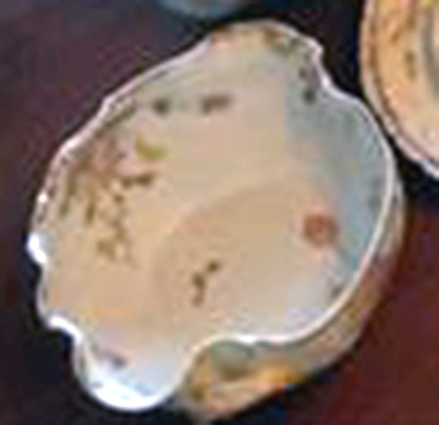 H4949 10" Large Salad Serving Bowl by Haviland-1