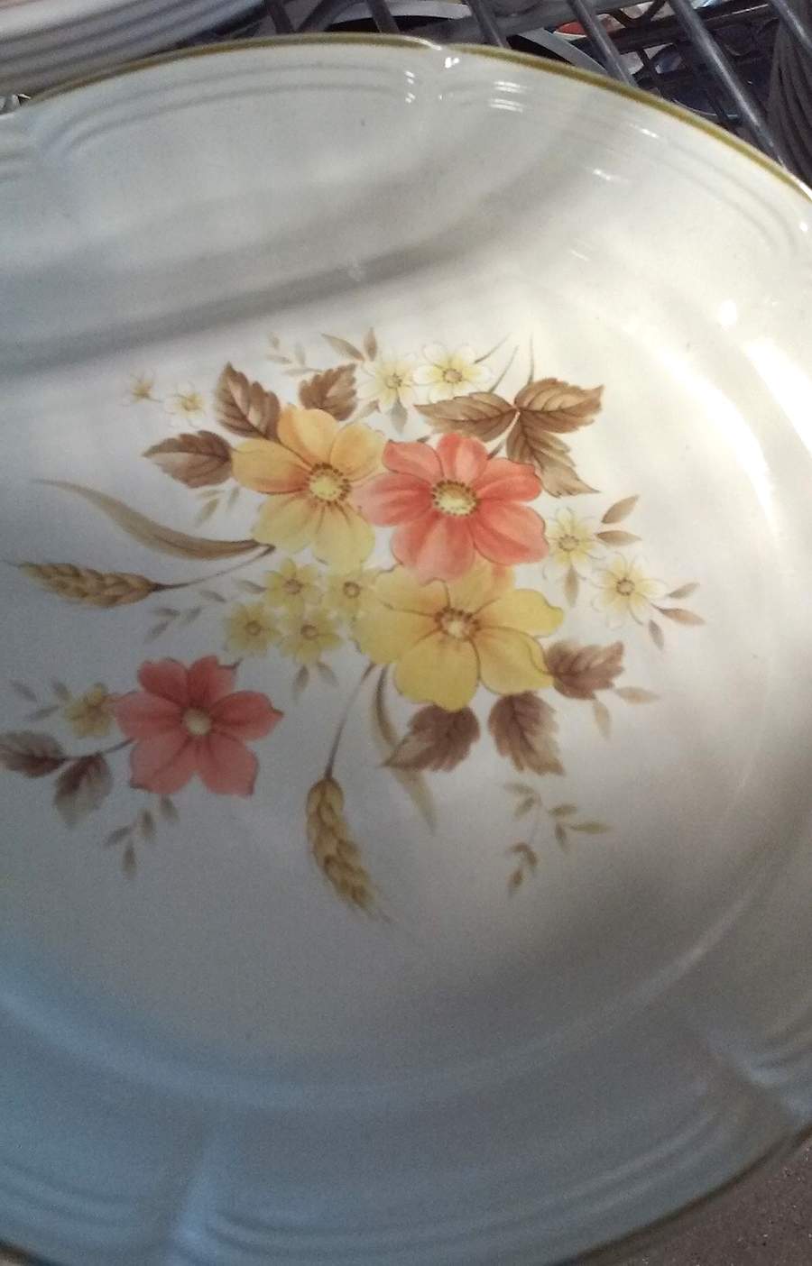 HRV2 Dinner Plate by Harvest-1