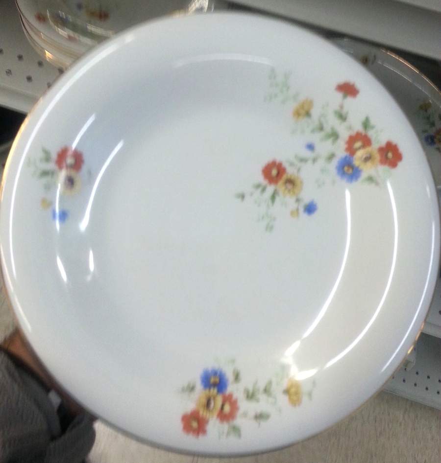HUT2408 Dinner Plate by Hutschenreuther-1