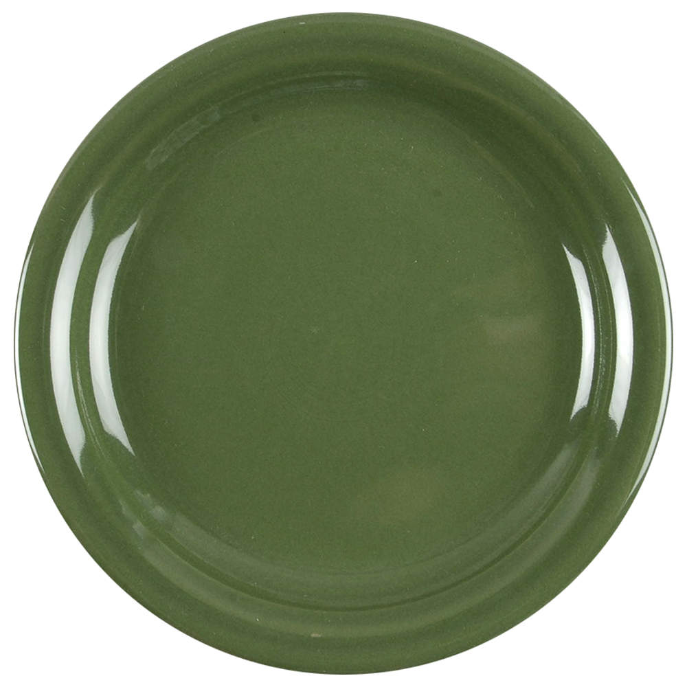 Fiesta Sage Green (Intro 2015) Appetizer Plate by Homer Laughlin -1
