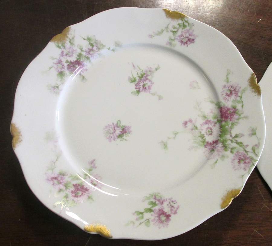 H4732 Dinner Plate by Haviland-1