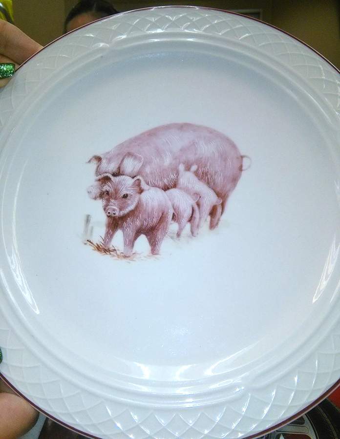 HLC4136 Dinner Plate by Homer Laughlin -1