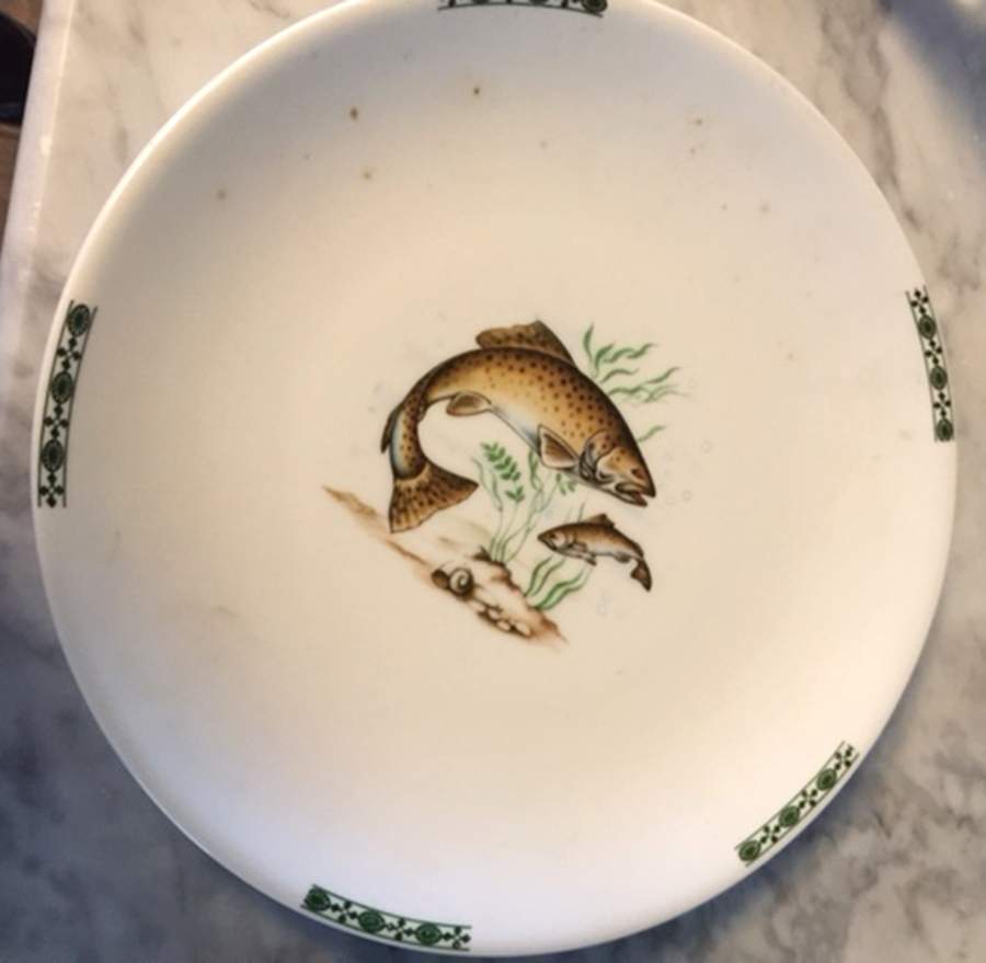 HUT2416 Dinner Plate by Hutschenreuther-1