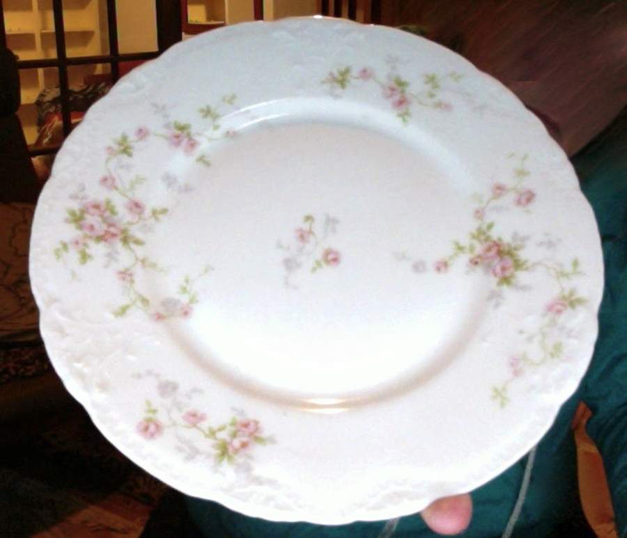 Schleiger 1245-6 Dinner Plate by Haviland-1