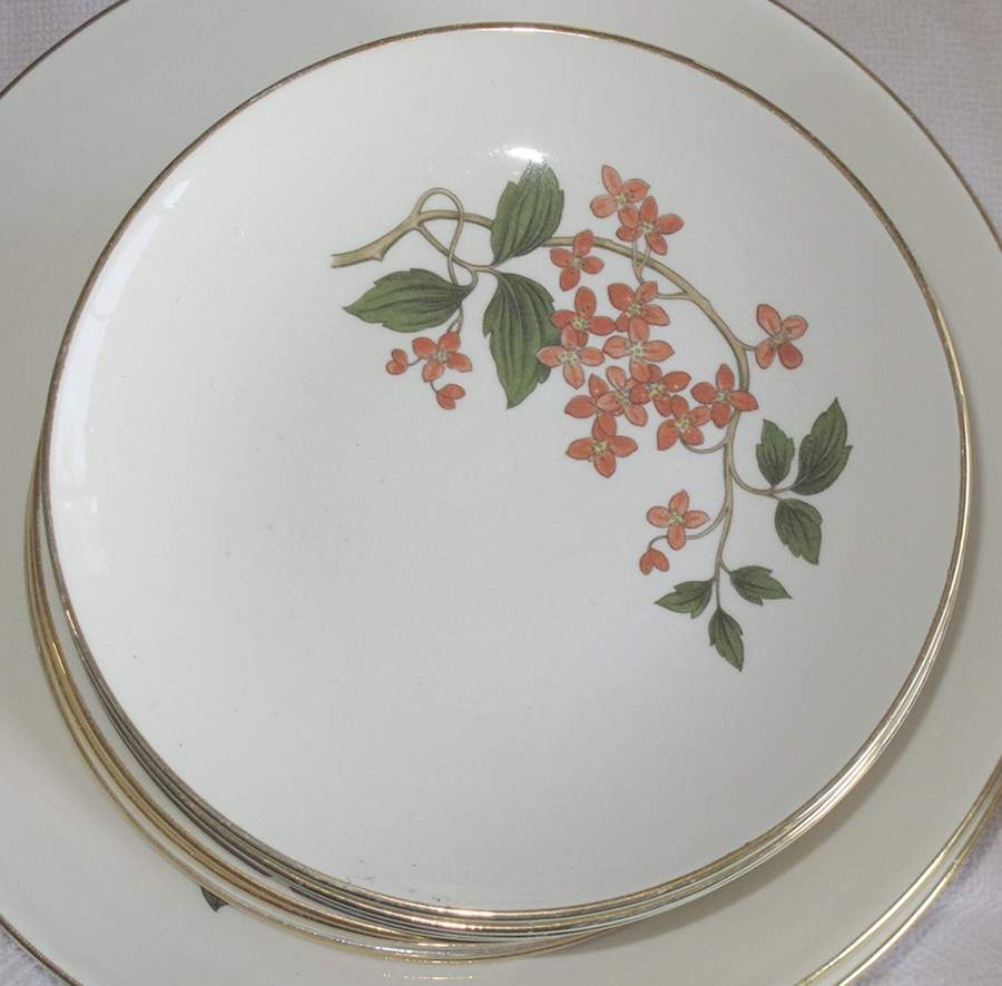 Ry155 Salad Plate by Homer Laughlin -1