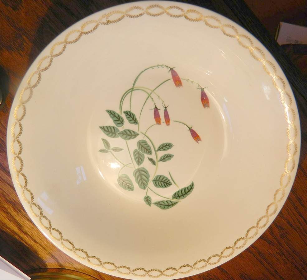 HLC4149 Dinner Plate by Homer Laughlin -1