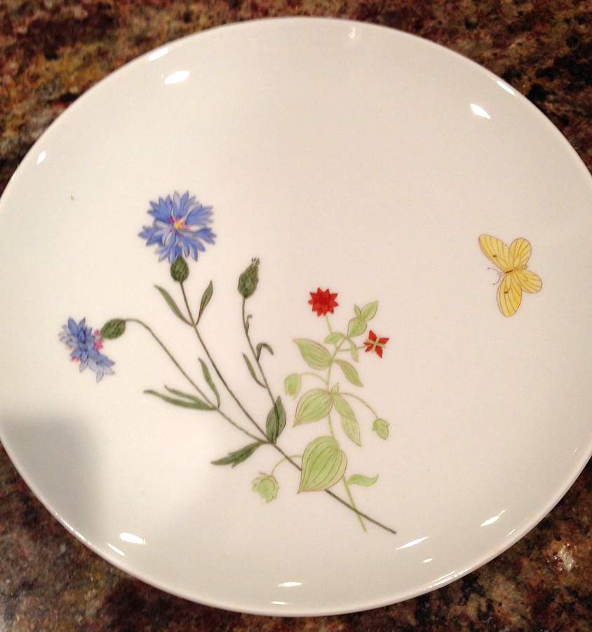 HUT2422 Dinner Plate by Hutschenreuther-1