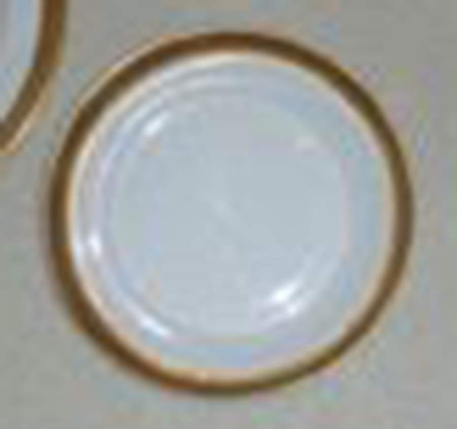 HUT3341 Salad Plate by Hutschenreuther-1