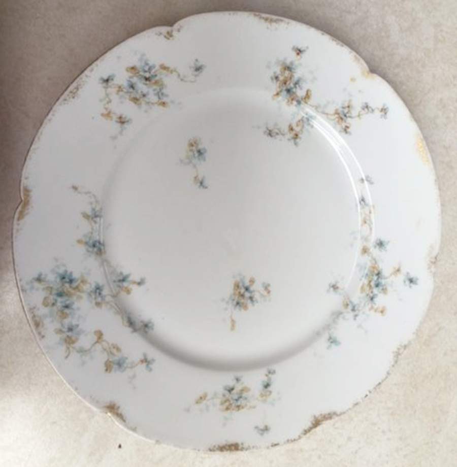 Schleiger 1023-9 Dinner Plate by Haviland-1