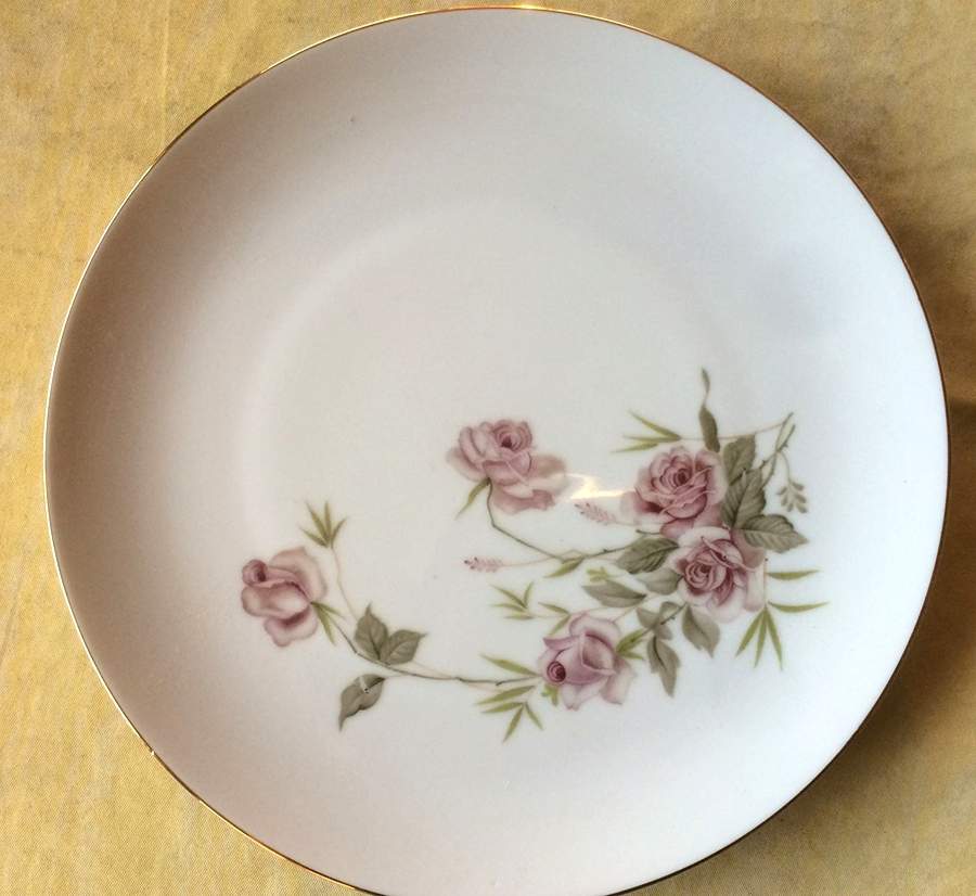 HKN37 Dinner Plate by Hakusan-1