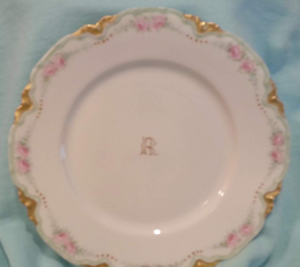 H4737 Dinner Plate by Haviland-1