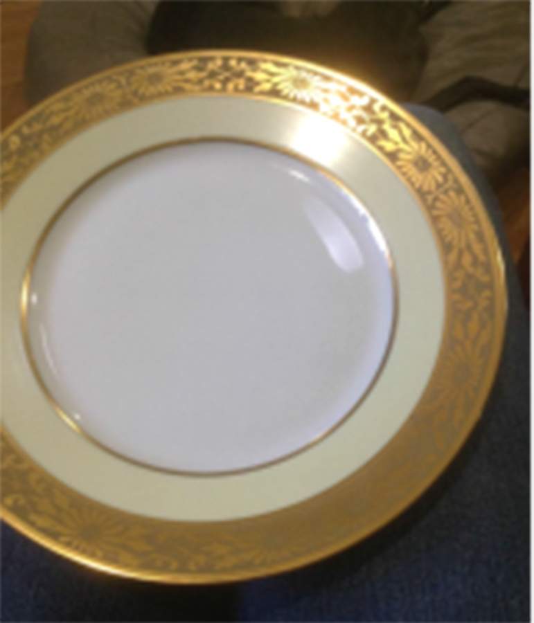 HUT3344 Dinner Plate by Hutschenreuther-1