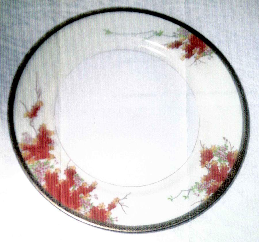 HKN38 Dinner Plate by Hakusan-1