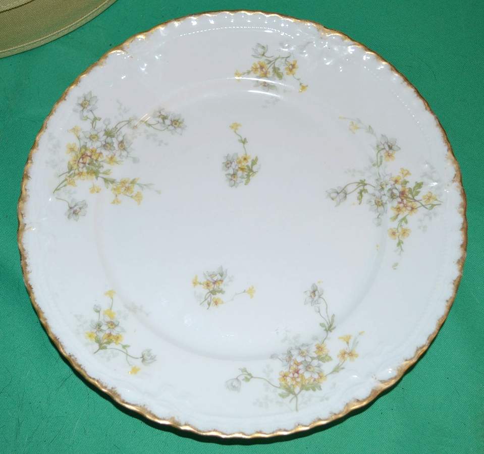 H4987 Dinner Plate by Haviland-1