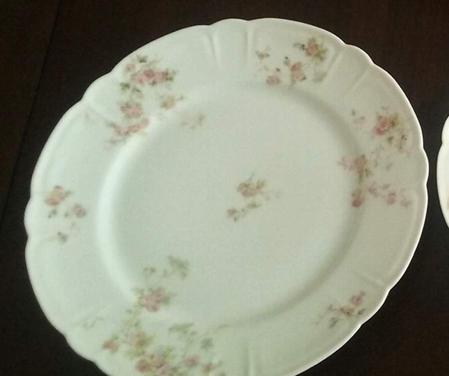 Schleiger 42-11 Dinner Plate by Haviland-1